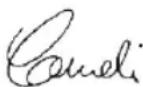 FLYMO Chevron 37VC - Sikkerhedsregler - 4