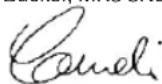 FLYMO Chevron 37VC - EC DECLARATION OF CONFORMITY - 1
