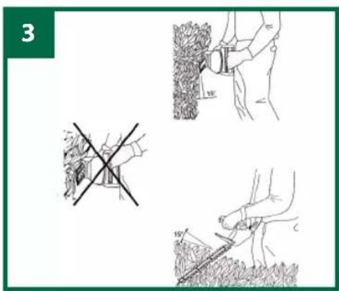Gardenline GLH 667 - Bitte achten Sie dabei auf den Auslauf der Schneidmesser. - 2