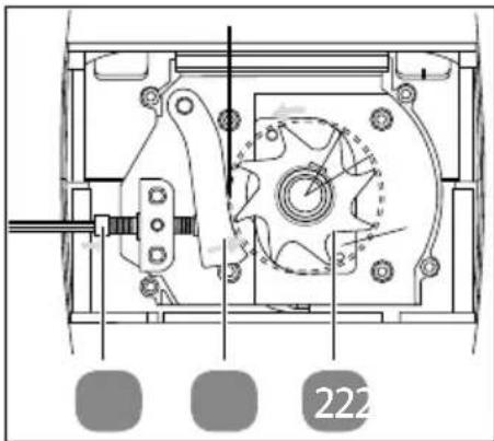 Gardenline GLLH 2548 - Einstellen des Gegenmessers - 1