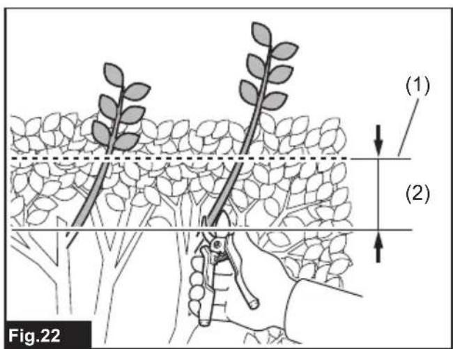 (1) (2) Fig.22