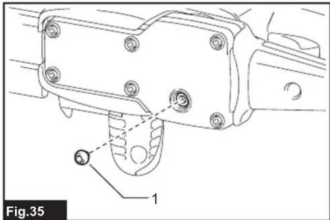 Fig.35 1