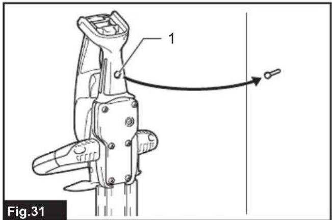 1 Fig.31