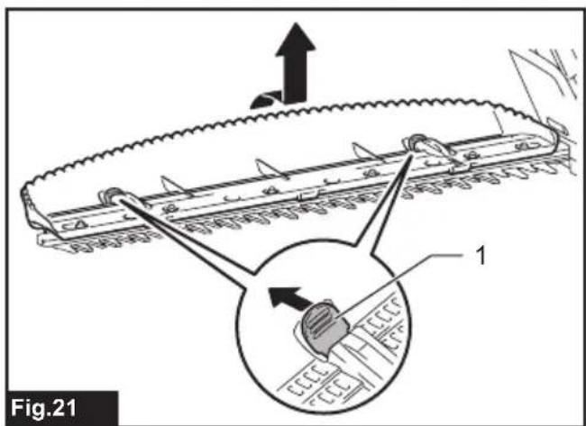 Fig.21 1