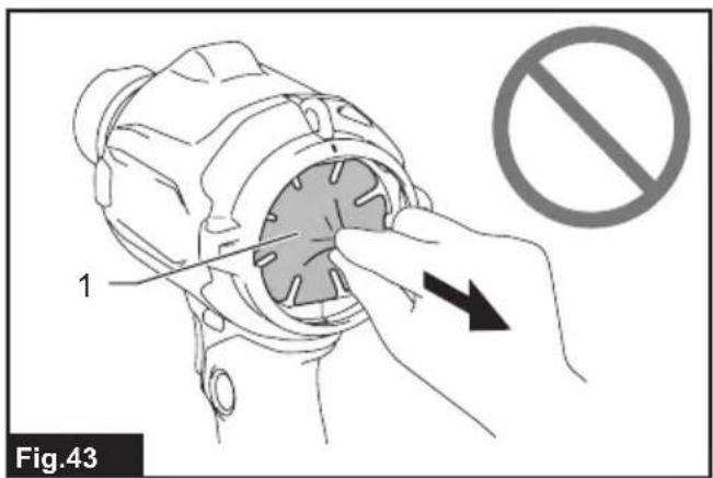 1 Fig.43