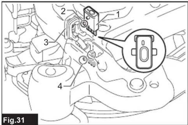 Fig.31