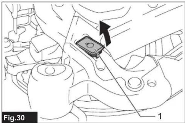 Fig.30 1