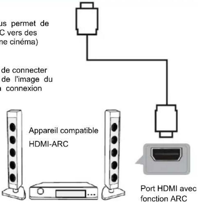 JVC LT-24FD110 - BRANCHEMENTS - 3
