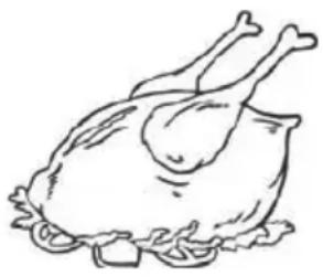 PROLINE PRI88-F-4F - Poultry - 1