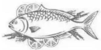 PROLINE PRI88-F-4F - Fish and seafood - 1