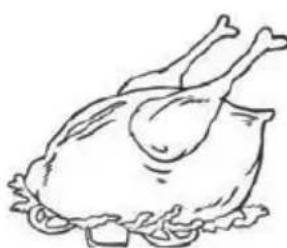 PROLINE PLC163WH - Poultry - 3