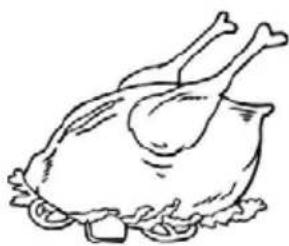PROLINE PLF242L - Poultry - 1