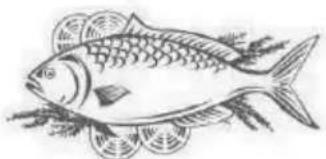 PROLINE PLF242L - Fish and seafood - 1