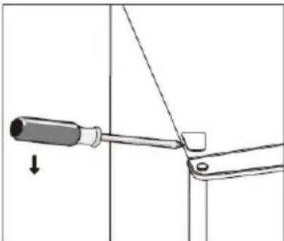 PROLINE PLF242L - Groentelade - 4