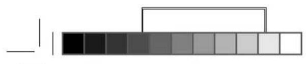 PROLINE PSBS946SL - Waarschuwing! - 1