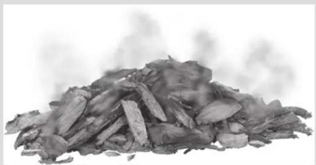 CHAR BROIL Performance 463229521 - Wood Chips - 1