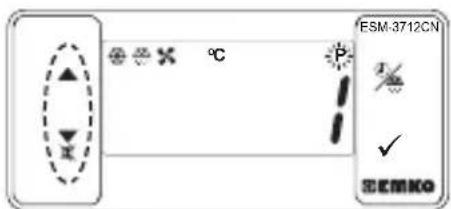 Emko ESM-3712-CN - Password Entering Screen - 3
