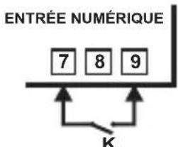 Emko ESM-3712-CN - Opération de dégivrage manuelle avec entrée numérique - 1