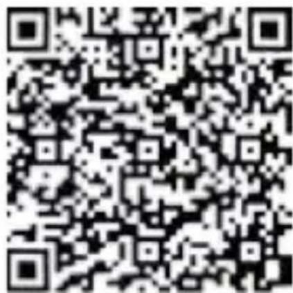 Guardo Action Cam 4 - Picture in Video (PIV) - 1