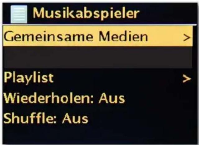 Telestar DABMAN i300 CD - Music player [UPnP] - 1