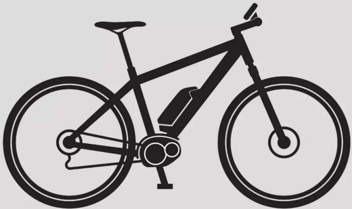 TREK Powerfly 4 Gen 3 - Owner's Manual – The Bosch Drive System Drive Unit | On-board computer | Battery | Charger (20 mph) - 1