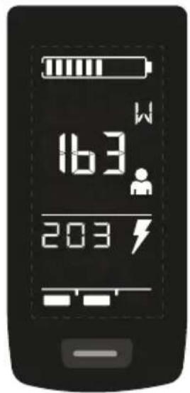 16:3 20:3
