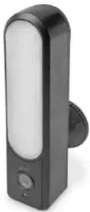 Digitus DN-18602 - Caméra extérieure Smart Full HD avec projecteur à LED, WiFi & commande vocale - 1