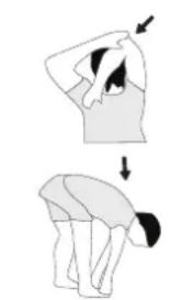 Christopeit AX 8000 - Example - stretching exercises for the warm-up and cool-down phases - 1