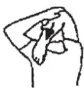 Christopeit XL 2000 - Warm up exercises (Warm Up) - 1