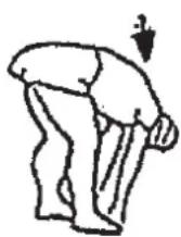 Christopeit XL 2000 - Warm up exercises (Warm Up) - 2
