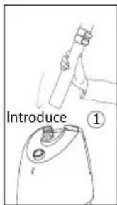 Introduce ①