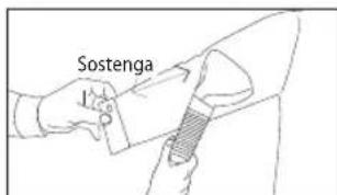 Sostenga