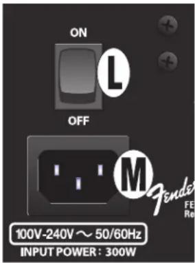 ON OFF L M Tender FE Re 100V-240V ~ 50/60Hz INPUT POWER: 300W