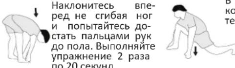 Christopeit ECO 1000 - Пример – упражнения на растяжку для фаз разминки и заминки. - 2