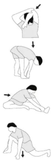 Christopeit ECO 1000 - Example - stretching exercises for the warm-up and cool-down phases - 1
