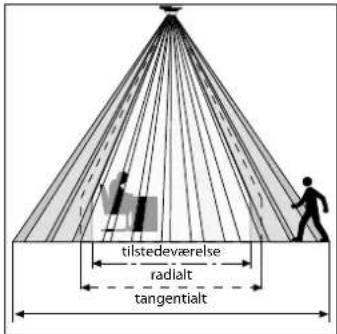 tilstedeværelse radialt tangentialt