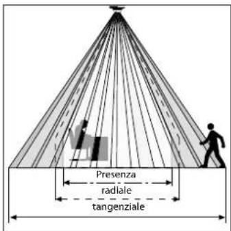 Presenza radiale tangenziale