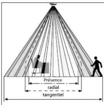 Présence radial tangentiel