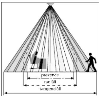 prezence radiāli tangenciāli