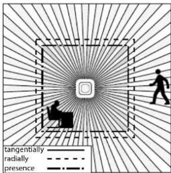 tangentially radially presence