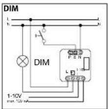 DIM L N - - - - DIM P E R L 1-1CV min 10V mA 1-10V