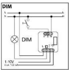 DIM L L L 1-10V from 10V DIM P 5 R L 1-10V