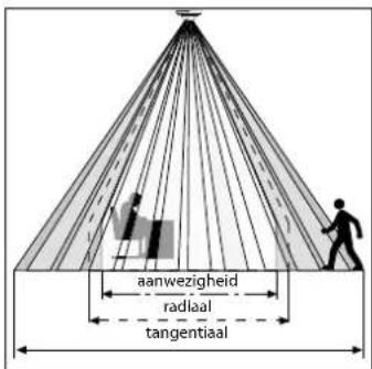 aanwezigheid radlaal tangential
