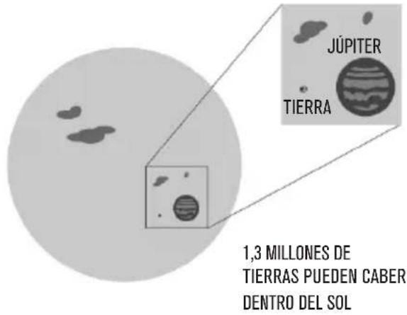 CELESTRON EclipSmart - BINOCULARES SOLARES - 1