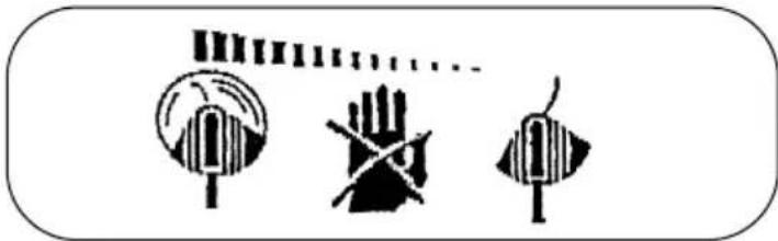 EINHELL ERT 250 - Caution! The nylon line will run on for a few seconds after the tool is switched off! - 1