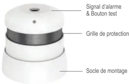 CAVIUS 2007 - Les meilleurs emplacements pour installer votre détecteur : - 1
