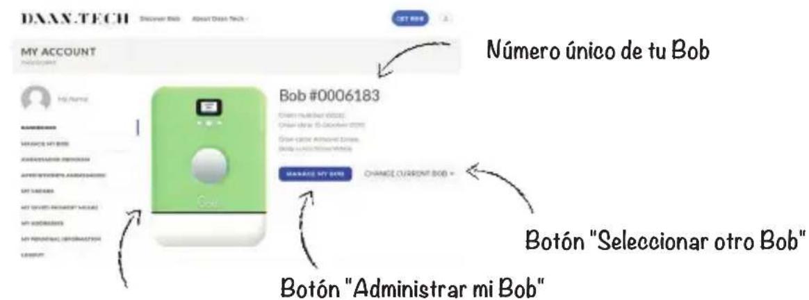 Daan Tech Bob - ¿Cómo administrar a Bob desde su cuenta? - 1