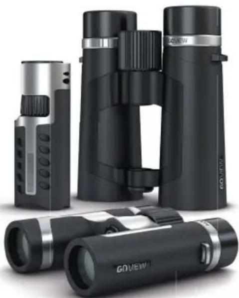 Goview ZoomR - Beskyttelse af privatlivet - 2