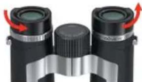 Goview ZoomR - Regulacja muszli ocznej - 1