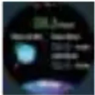 Blurred image with visible text labels and a dark circular object, possibly from a document or interface.